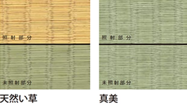 退変色比較試験