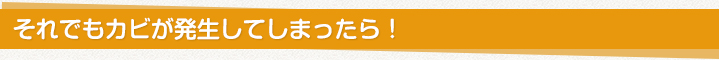 それでもカビが発生してしまったら！